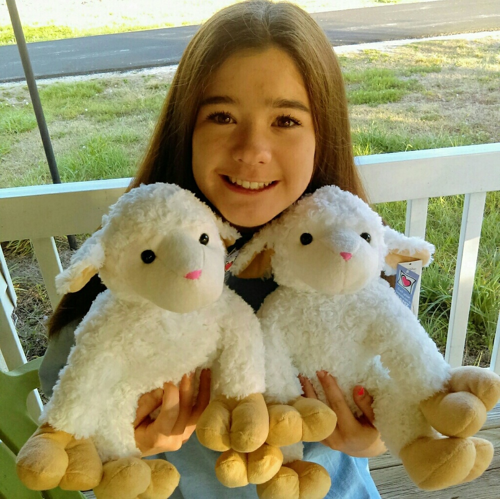Stuffed Animal