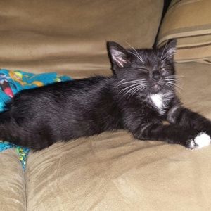 Meet your Posher, Jen