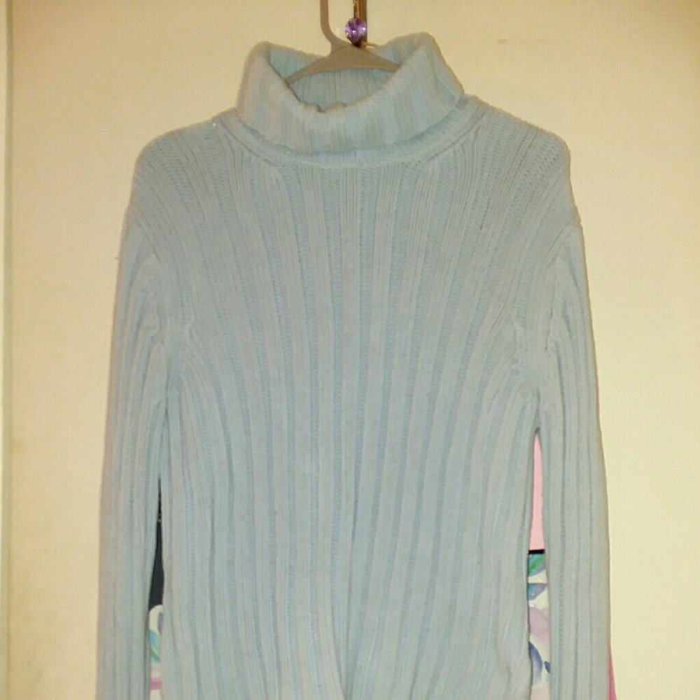 Turtleneck Sweatshirt