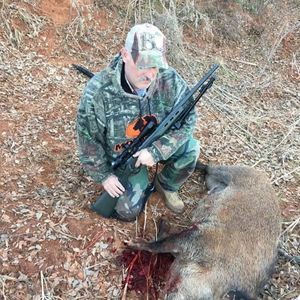 Meet your Posher, Harold