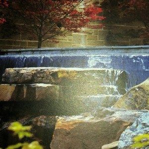 Meet your Posher, Joann