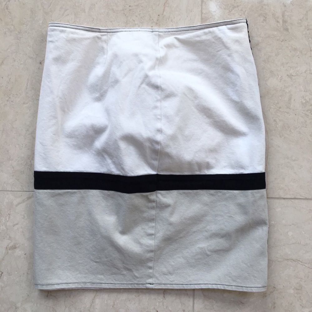 Colorblock Skirt