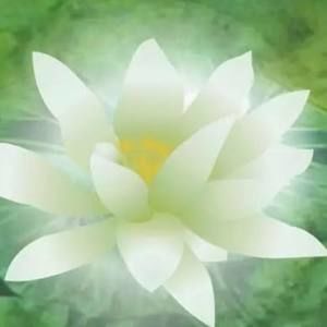 Meet your Posher, Joanne