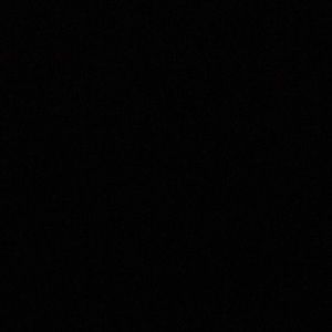 Meet your Posher, Nelson