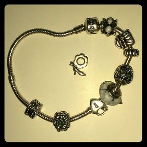 Pandora Bracelet