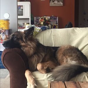 Meet your Posher, Michelle