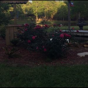 Meet your Posher, June