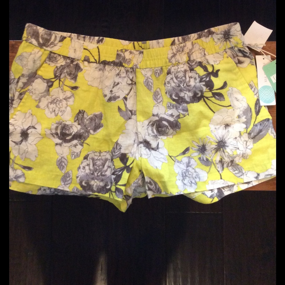 Kut From the Kloth shorts