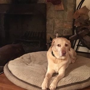 Meet your Posher, Thomas