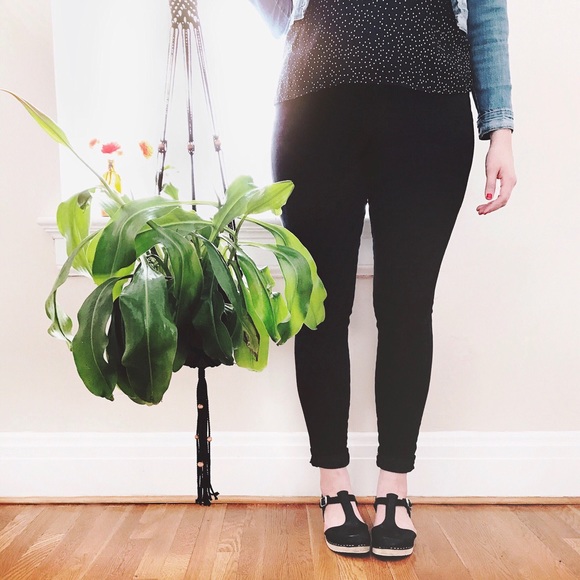 Hello Everyone! - Picture 2 of 6