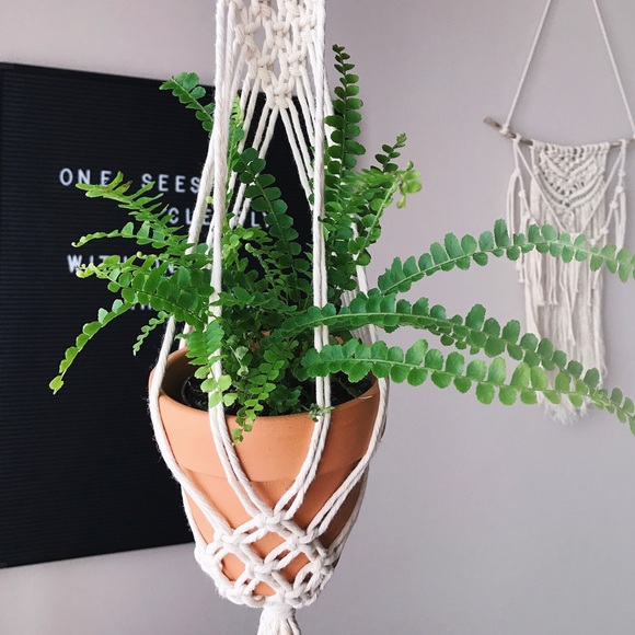 Hello Everyone! - Picture 5 of 6