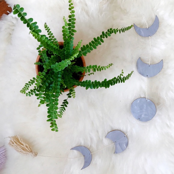 Hello Everyone! - Picture 6 of 6