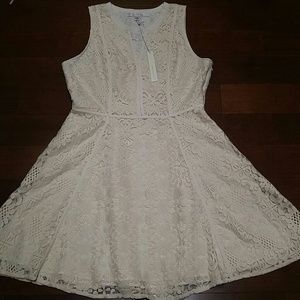 Lace Fit & Flare Dress, NWT (Lauren Conrad)