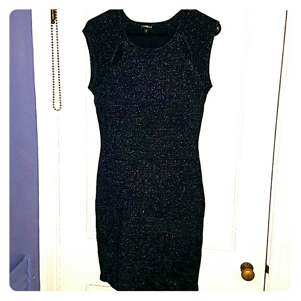 Shimmering Navy Blue Fitted Dress