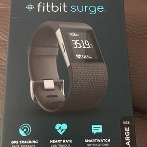 Fitbit Surge: large