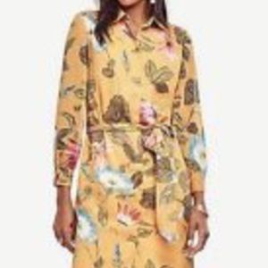 Ann Taylor Marigold Shirt dress Style #411665