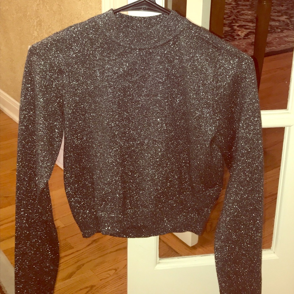 Express sparkly long sleeved crop top