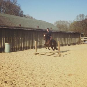 Meet your Posher, Ally