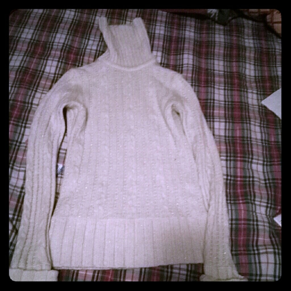 Express turtle neck sweater