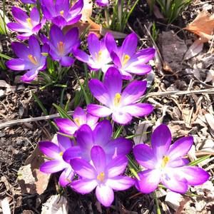 Meet your Posher, Becca