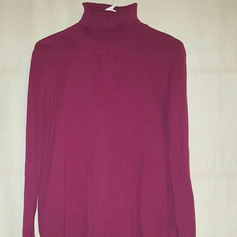 Talbots turtleneck sweater