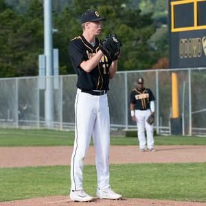 Meet your Posher, Henry