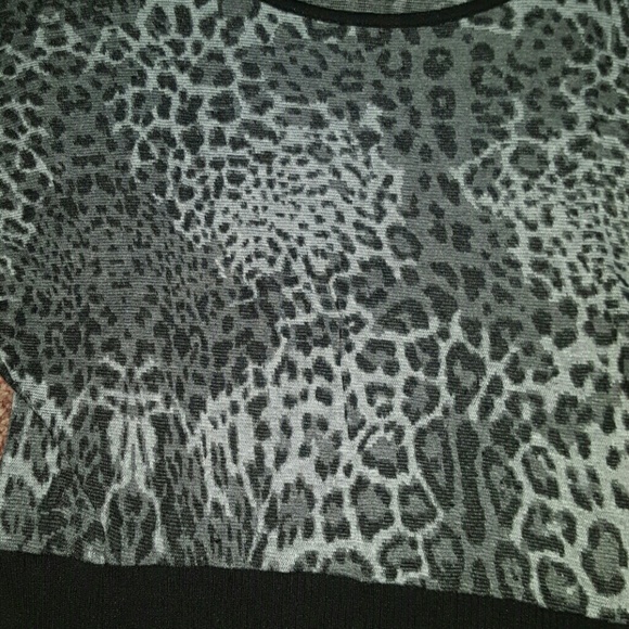CHEETAH Fierce CHARLOTTE RUSSE Top NWOT - Picture 3 of 5
