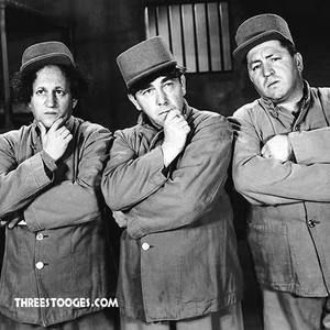 Meet your Posher, Danny