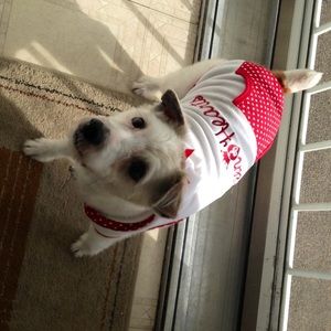 Meet your Posher, Imani