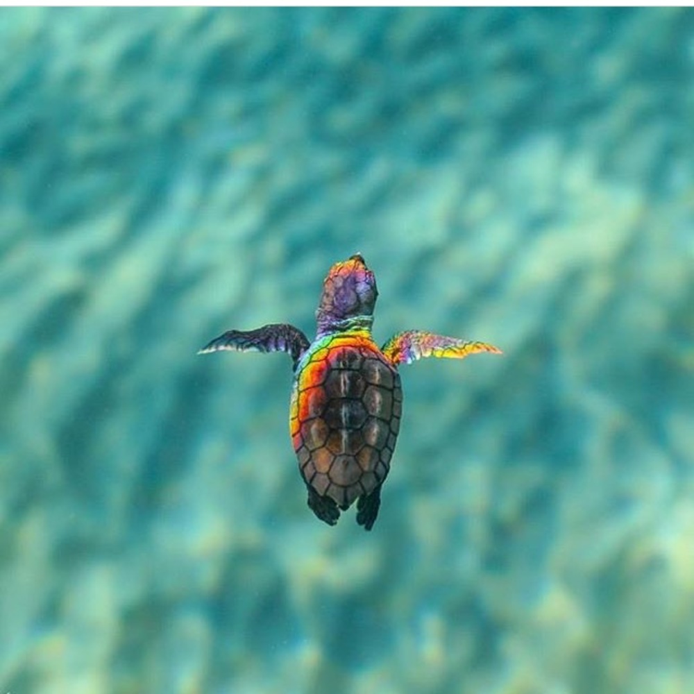 New closet coming soon