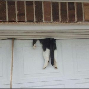 Meet your Posher, Jaime