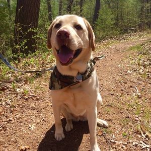 Meet your Posher, Erin