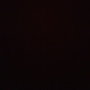 Meet your Posher, Dustin