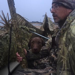 Meet your Posher, Ben