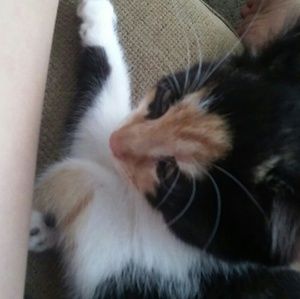 Meet your Posher, Kaitlyn