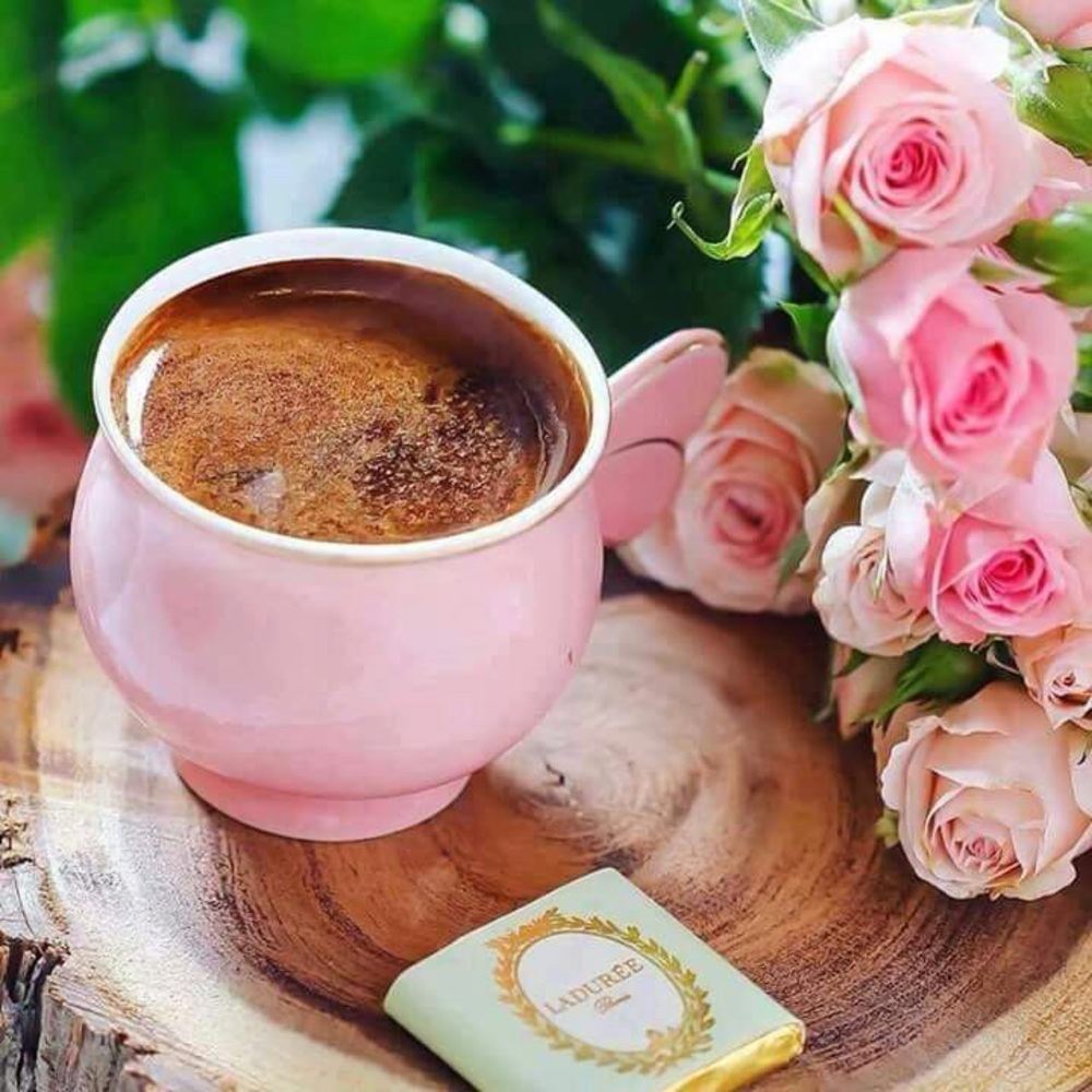 Meet your Posher, Yasmin