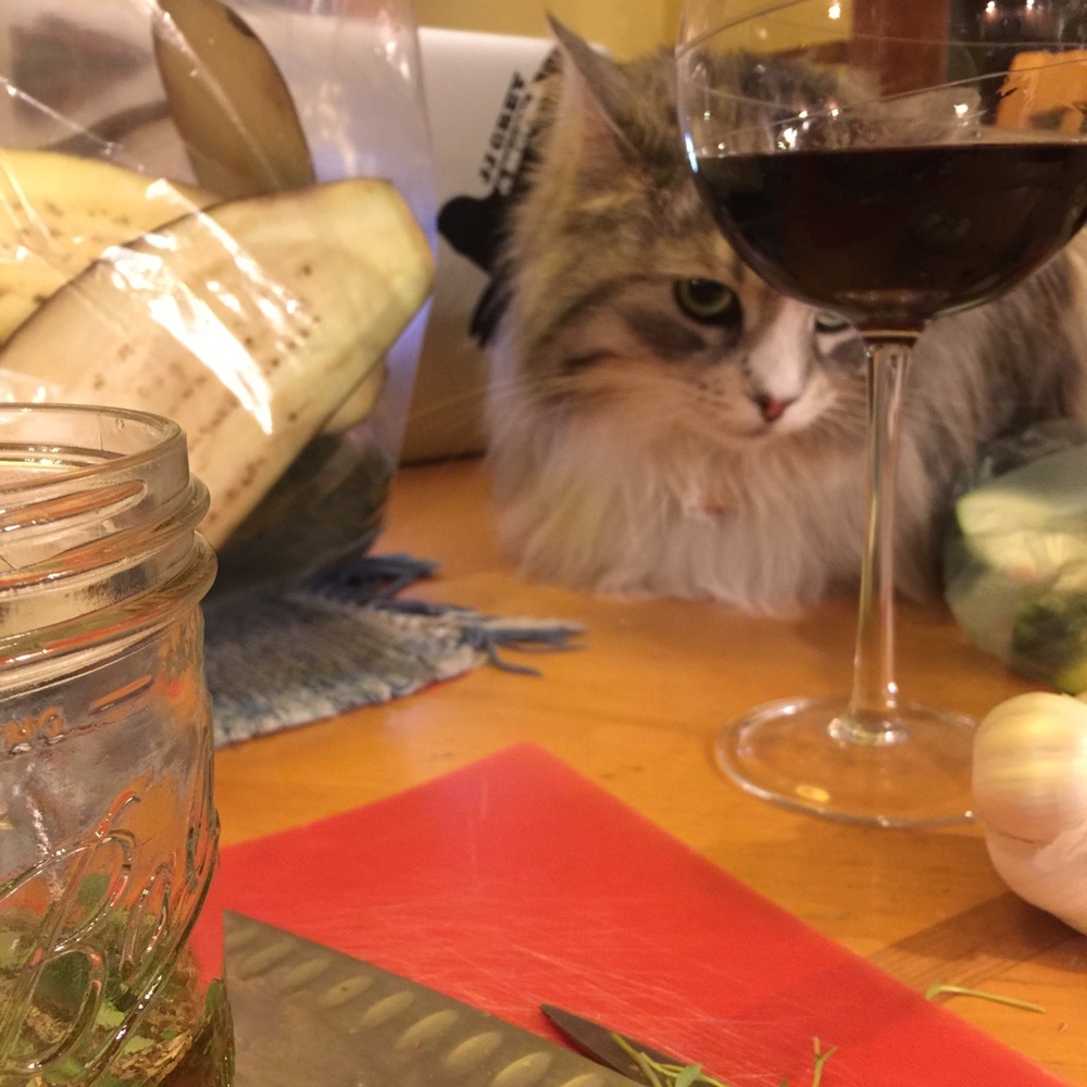 Meet your Posher, Jasmine