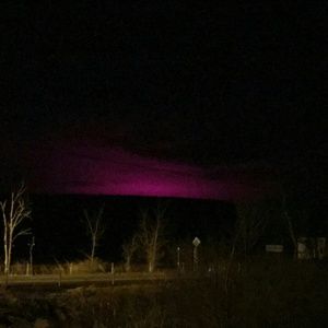 Meet your Posher, Jody