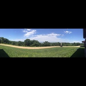 Meet your Posher, Ivy