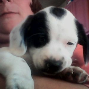 Meet your Posher, Diane