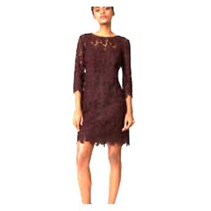 Ann Taylor Loft 3/4 Sleeve Lace Dress