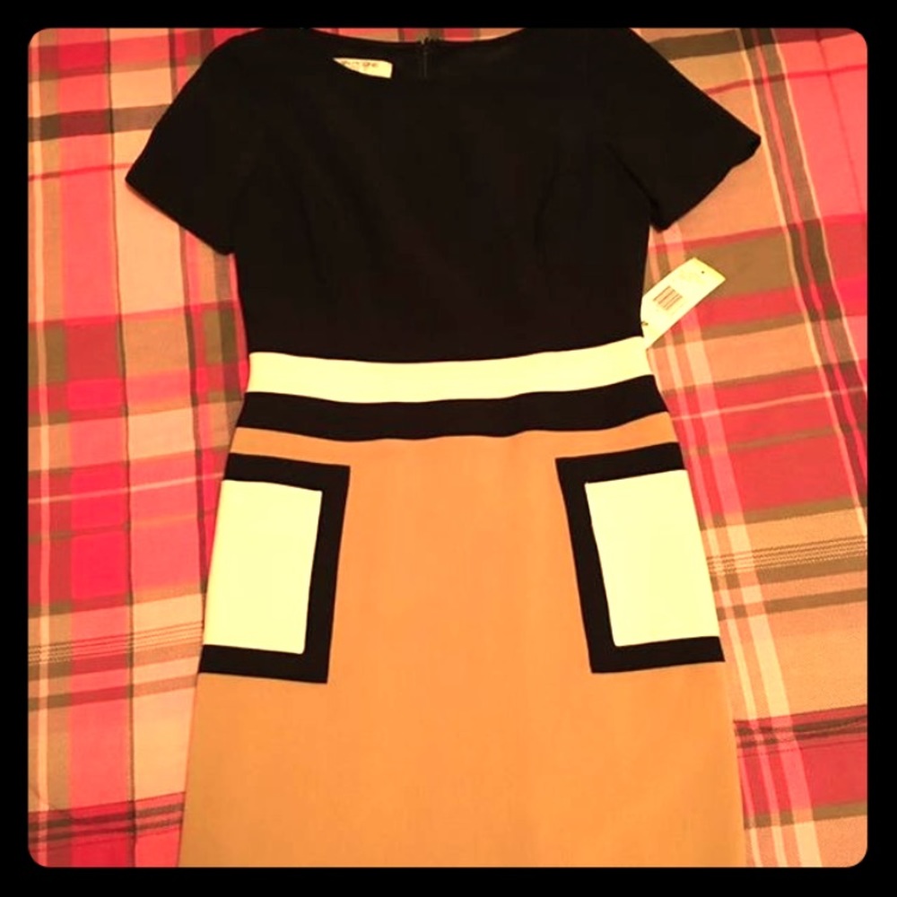 Evan Picone Color Block Dress