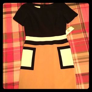 Evan Picone Color Block Dress