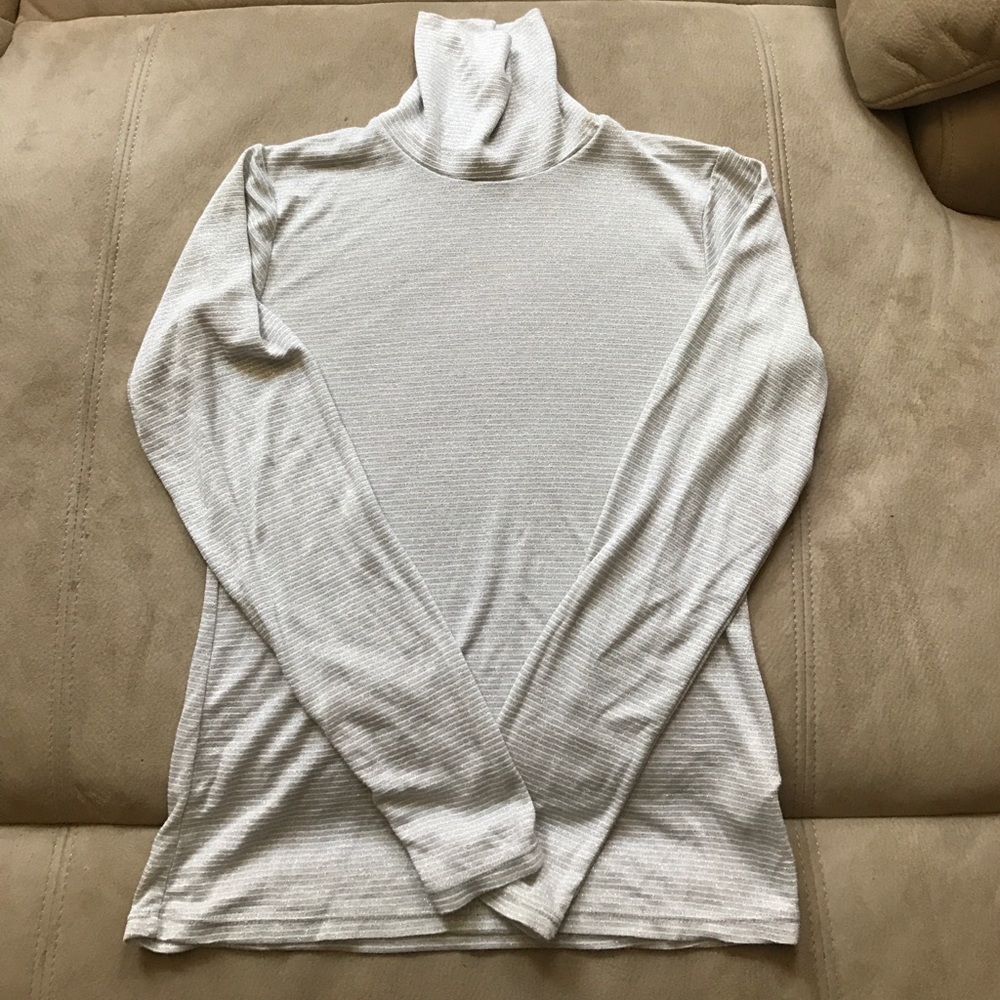 Shimmery striped turtle neck