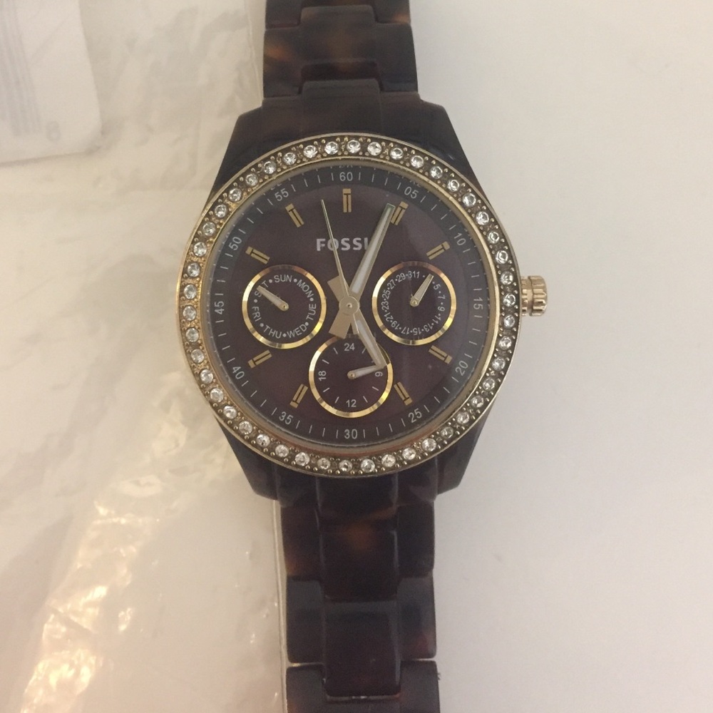 Tortoise Fossil Watch