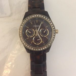 Tortoise Fossil Watch