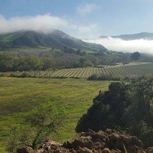 Meet your Posher, Sheri