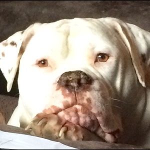 Meet your Posher, Kate