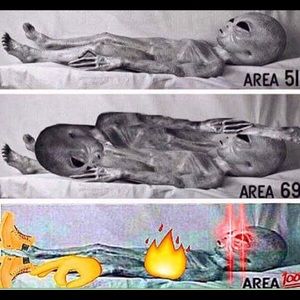 Meet your Posher, Fernando