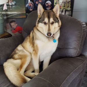 Meet your Posher, Patti